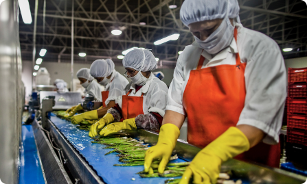 people manufacturing